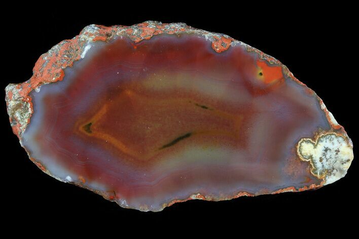 Beautiful Condor Agate From Argentina - Slab #79510